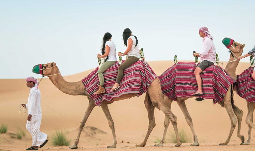 Experience Dubai: Skyline and Sandscapes