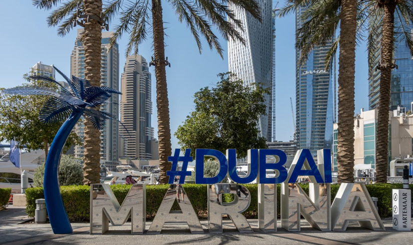 Experience Dubai: Skyline and Sandscapes