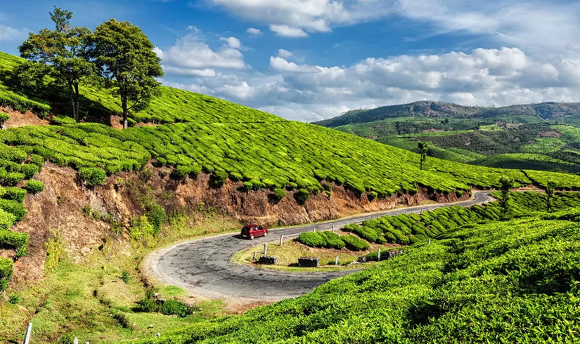 3 Nights 4 Days Paradise Kerala Holidays