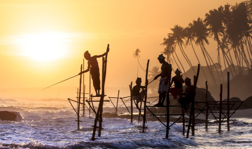 South Sri Lanka Tour Package